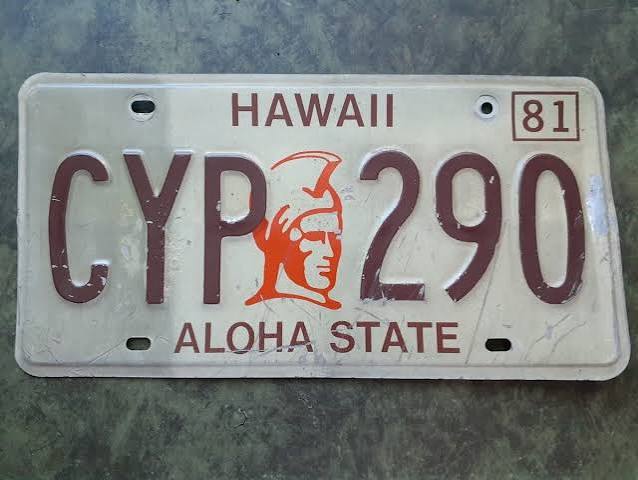 1981 warrior plate