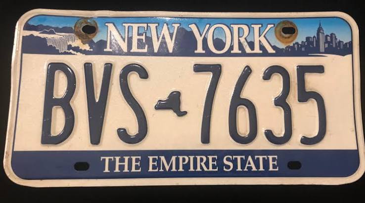 New York Empire State license plate, white with blue bands and scenic imagery