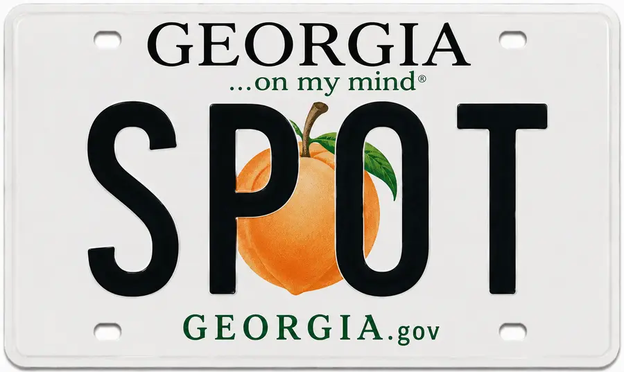 Georgia license plate